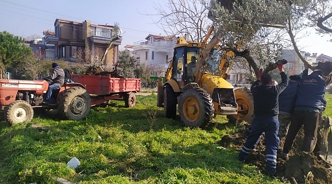 Erdek yeşile sahip çıkıyor