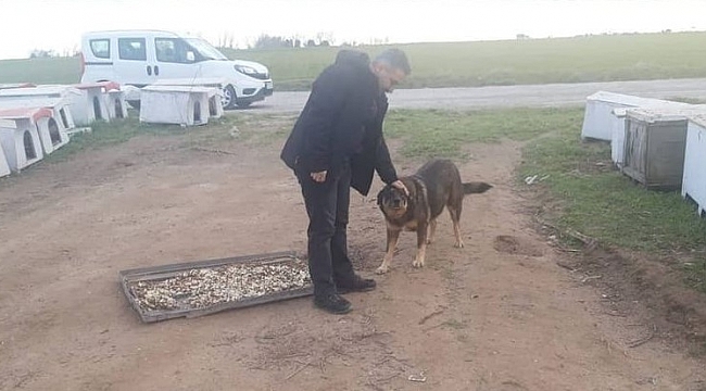 Ergene'de sokak hayvanları unutulmuyor