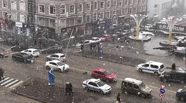 Erzurum'da kar yağışı etkili oldu