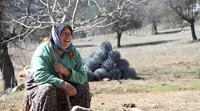 Fatma teyzenin 62 yıllık çobanlık hikayesi