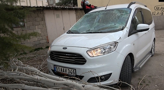 Fırtına nedeniyle ağaç otomobilin üzerine devrildi