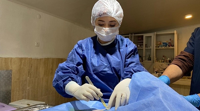 Fıtık teşhisi konulan kedi ameliyat edildi