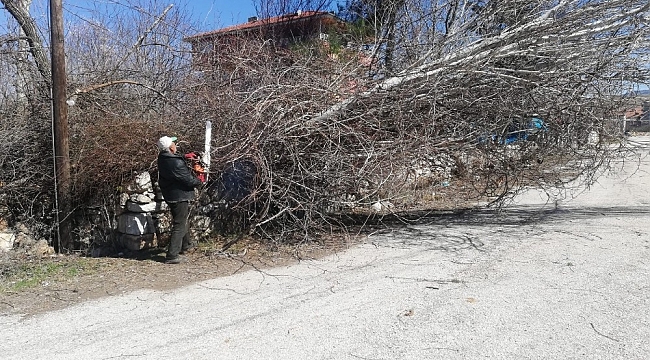 Gölbaşı ilçesinde çatılar uçtu, ağaçlar devrildi