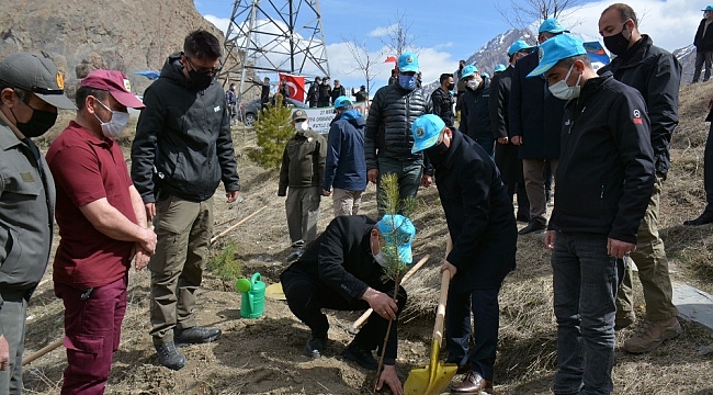 Hakkari'de bin 500 fidan toprakla buluşturuldu
