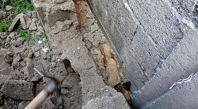 İki duvar arasına sıkışan köpeği itfaiye kurtardı