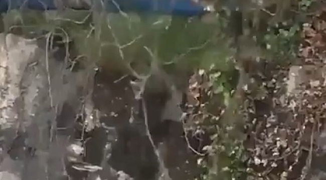 İntihara kalkışan genç son anda kurtarıldı