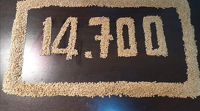 İskenderun'da 14 bin 700 adet uyuşturucu hap ele geçirildi