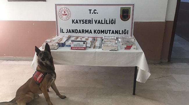 Jandarma 244 personelle 400 noktada 'Narkotik ve Huzurlu Sokakları' uygulaması yaptı
