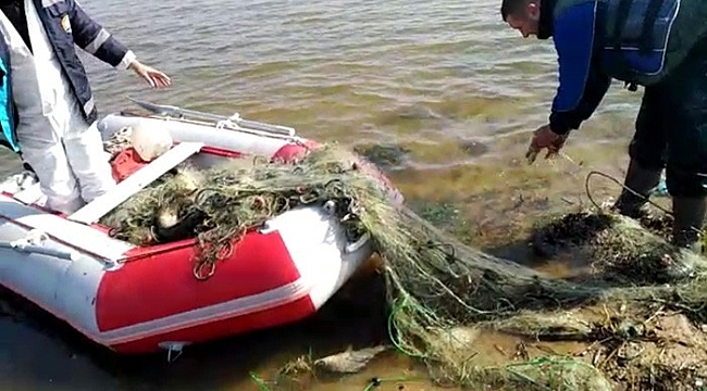Kaçak avlanan 2 ton balık yeniden suya bırakıldı