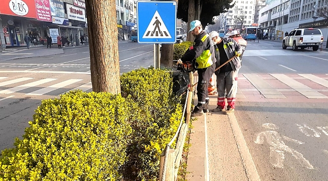 Kahramanmaraş'ta minyatür ağaçlar budanıyor