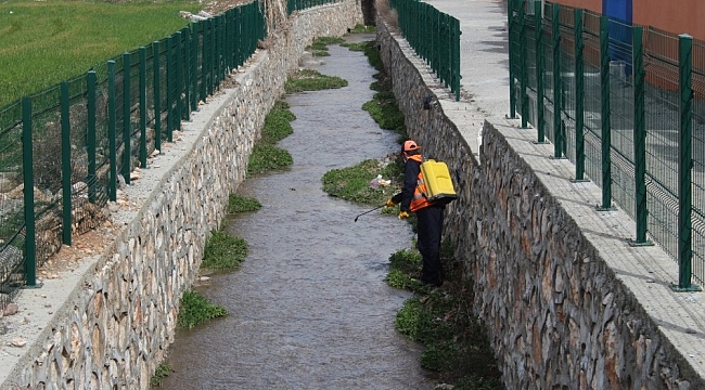 Kahta Belediyesi larva üreme noktalarını ilaçlıyor
