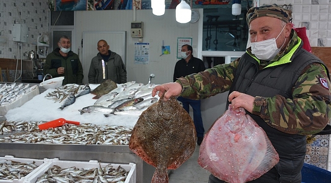 Kalkan balığı tadımlık oldu, fiyatı cep yakıyor
