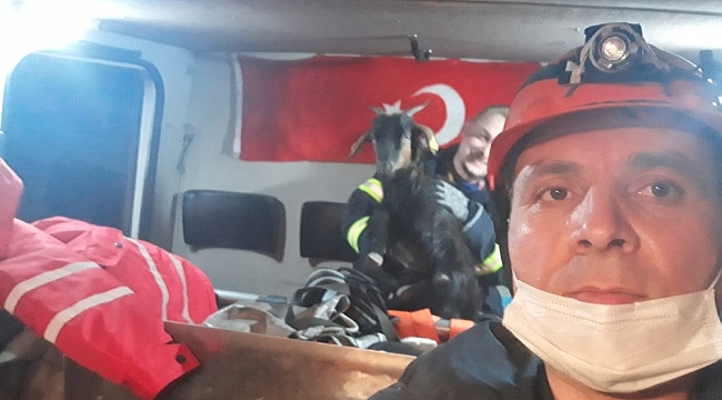 Kayalıklarda mahsur kalan 5 keçiyi itfaiye kurtardı