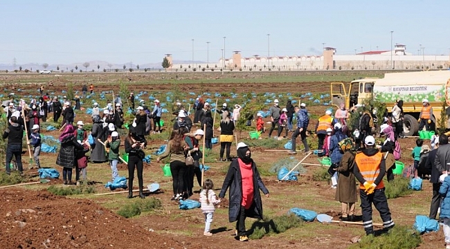 Kayapınar Şehir Ormanına 10 bin fidan dikildi