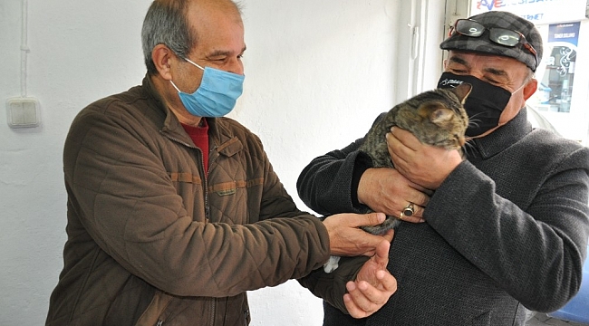 Kayıp kedisine 6 gün sonra kavuştu
