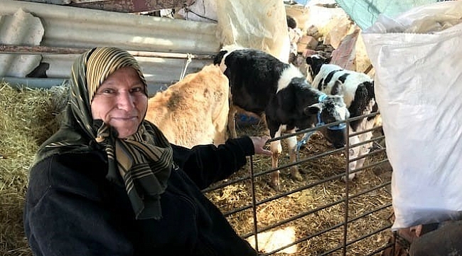 Kendi işini kurmak isteyen engelliler için 'hibe desteği' başvuruları başladı