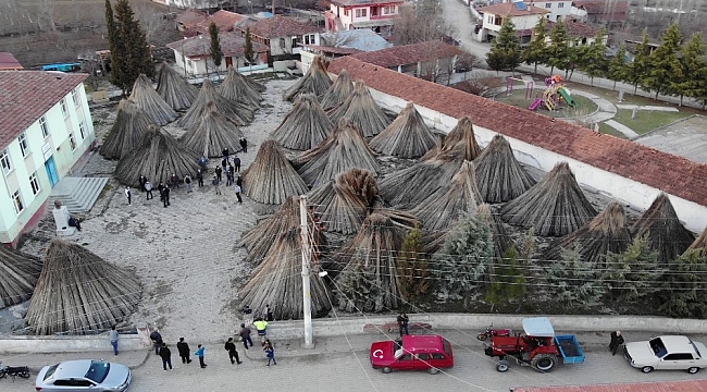 Kenevirler üreticinin elinde kaldı