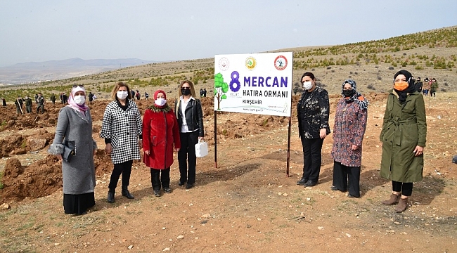 Kırşehir'de, Mercan Ormanı oluşturuldu