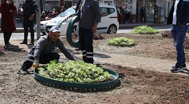 Korkuteli' ilçesinde 11 bin çiçek toprakla buluştu