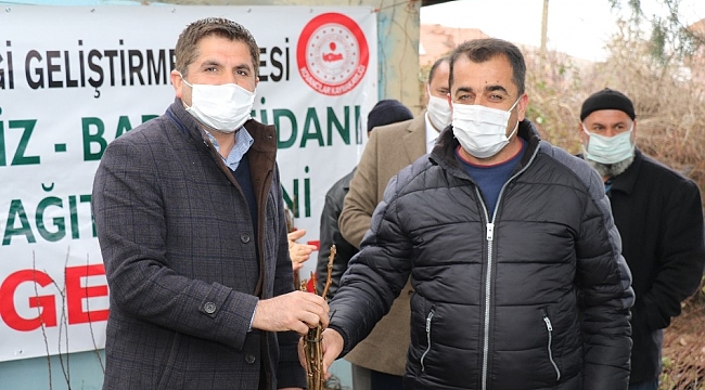 Kovancılar'da 5 bin 500 meyve fidanı dağıtıldı