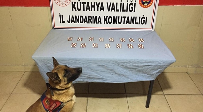 Kütahya'da 208 adet sentetik uyuşturucu hap ele geçirildi