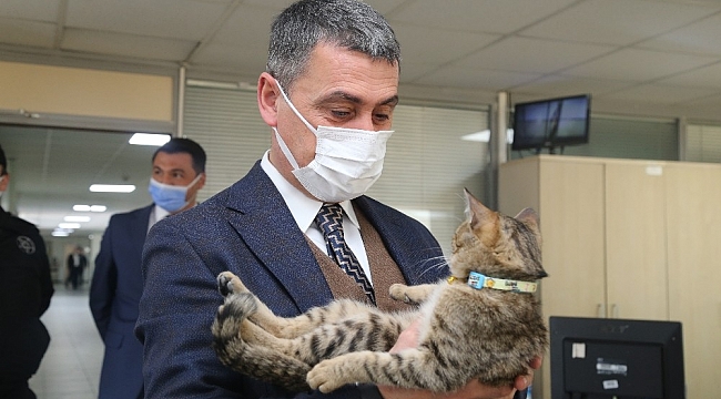 Leo, Gölbaşı Belediyesi'nin Maskotu oldu