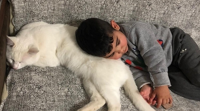 Mahallenin gençleri direkte mahsur kalan kediyi iş makinesiyle kurtardı