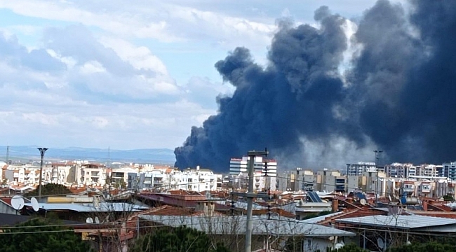 Manisa'da çıkan yangında, yükselen dumanlar şehri kapladı