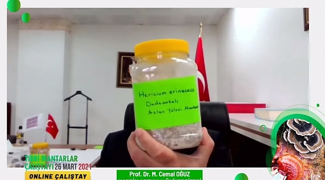 MAÜ'den tıbbi mantarlar çalıştayı