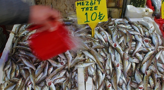 Mezgit 10 TL'lik fiyatıyla tezgahların fenomeni