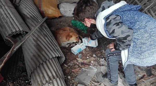 Minik kalpleri, yürekleri ısıttı