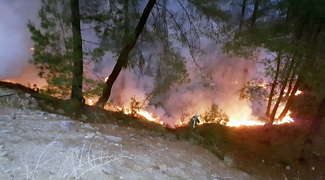 Muğla'da yılın ilk orman yangını
