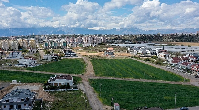 Muratpaşa'da 20 bin kilogram buğday hasat edilecek