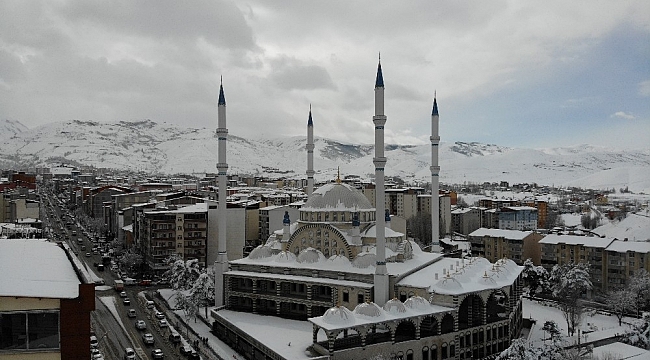 Muş'ta kartpostallık kış manzaraları