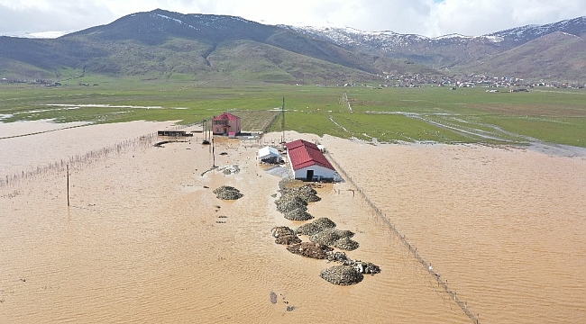 Muş'ta tarım arazileri ve hayvan çiftlikleri su altında kaldı