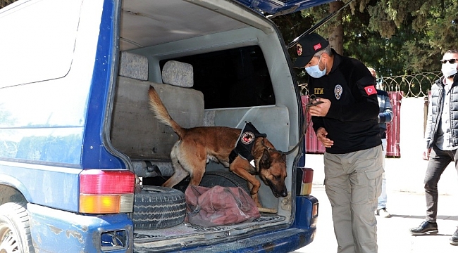 Okul önlerinde özel harekat destekli narkotik köpekli uygulama