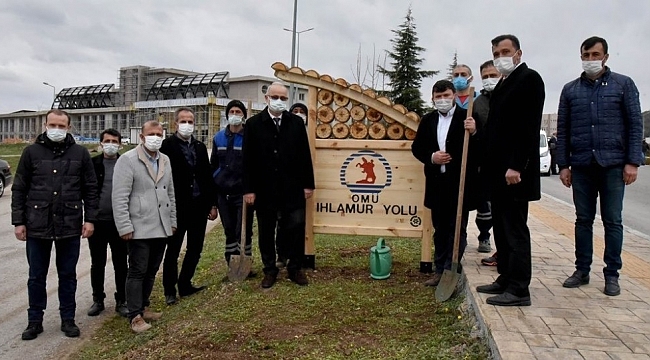 OMÜ Kurupelit Yerleşkesi ıhlamurlarla yeşillenecek