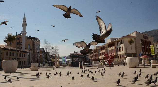 Ordu'da korona virüs sessizliği