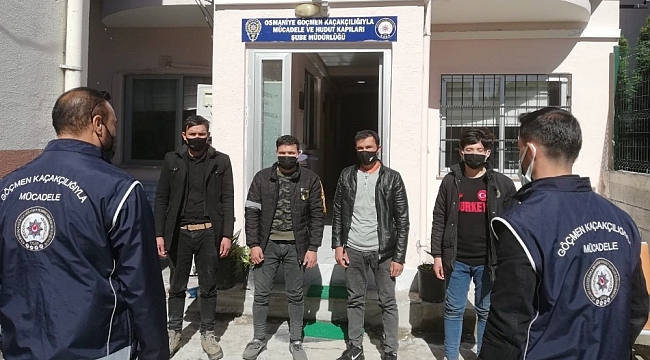 Osmaniye'de Afgan uyruklu 4 mülteci yakalandı