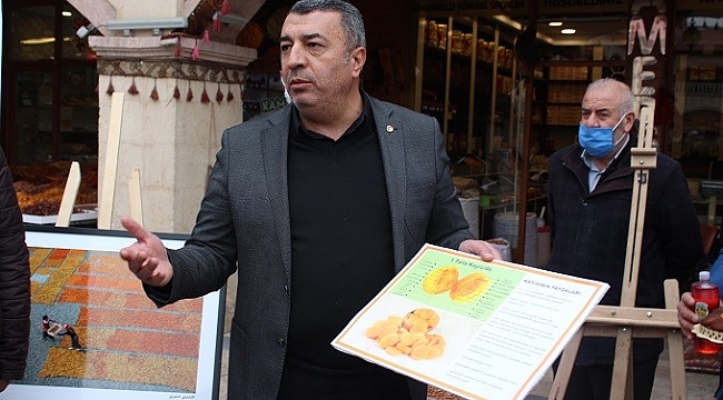 Özcan, Kayısının gelişim sürecini anlattı