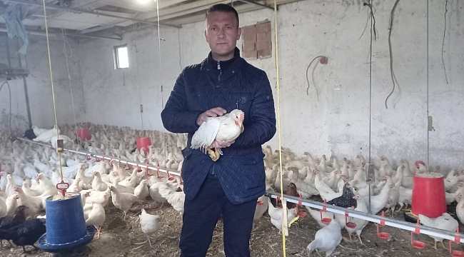 Pandemi döneminde organik yumurtaya talep arttı