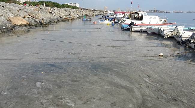 Pendik'te korkutan görüntünün gerçek nedeni belli oldu