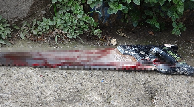 Pendik'te testereli kavga: 2 yaralı