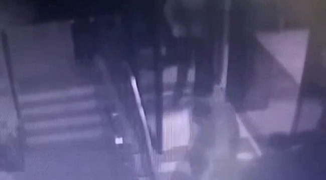 Pitbullla fabrika bekçisine dehşeti yaşattılar