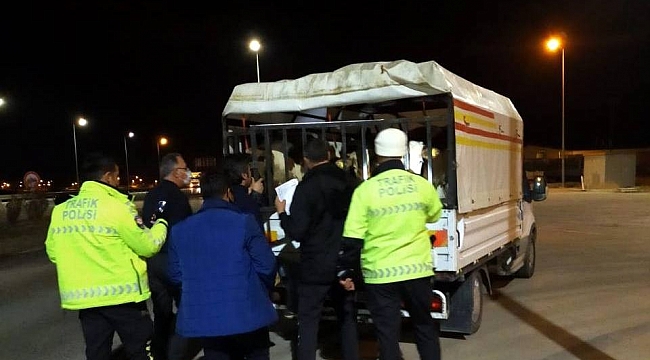 Polisin 'dur' ikazına uymayan araçtan nâkile uygun olmayan büyükbaş hayvanlar çıktı