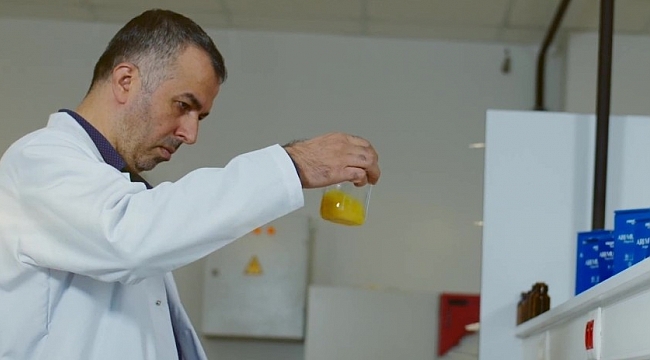 Propolisin etkinliği zeytin yaprağı ve bor ile arttırılıyor