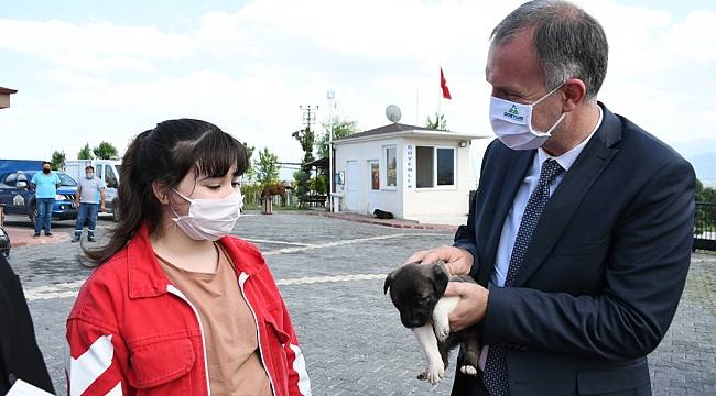 Sahiplenilen hayvanların bir yıllık muayenesi ücretsiz yapılıyor