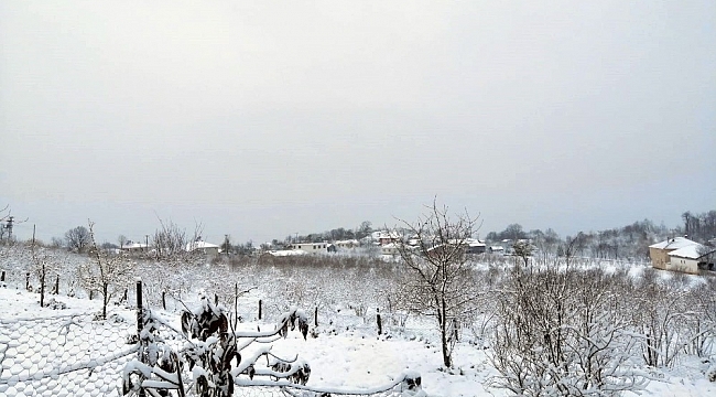 Sakarya'da yüksek kesimlerde kar yağışı etkili oluyor