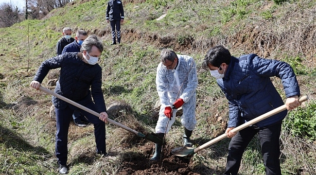 SAMÜ personeli meyve fidanlarını toprakla buluşturdu