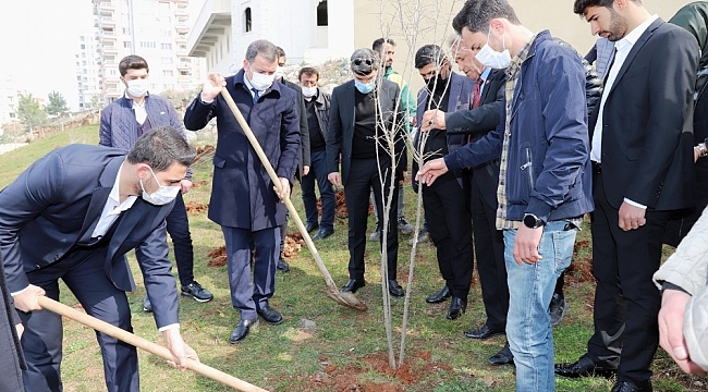 Şanlıurfa'da gençler ilçenin sembolü olan nar fidanını dikti